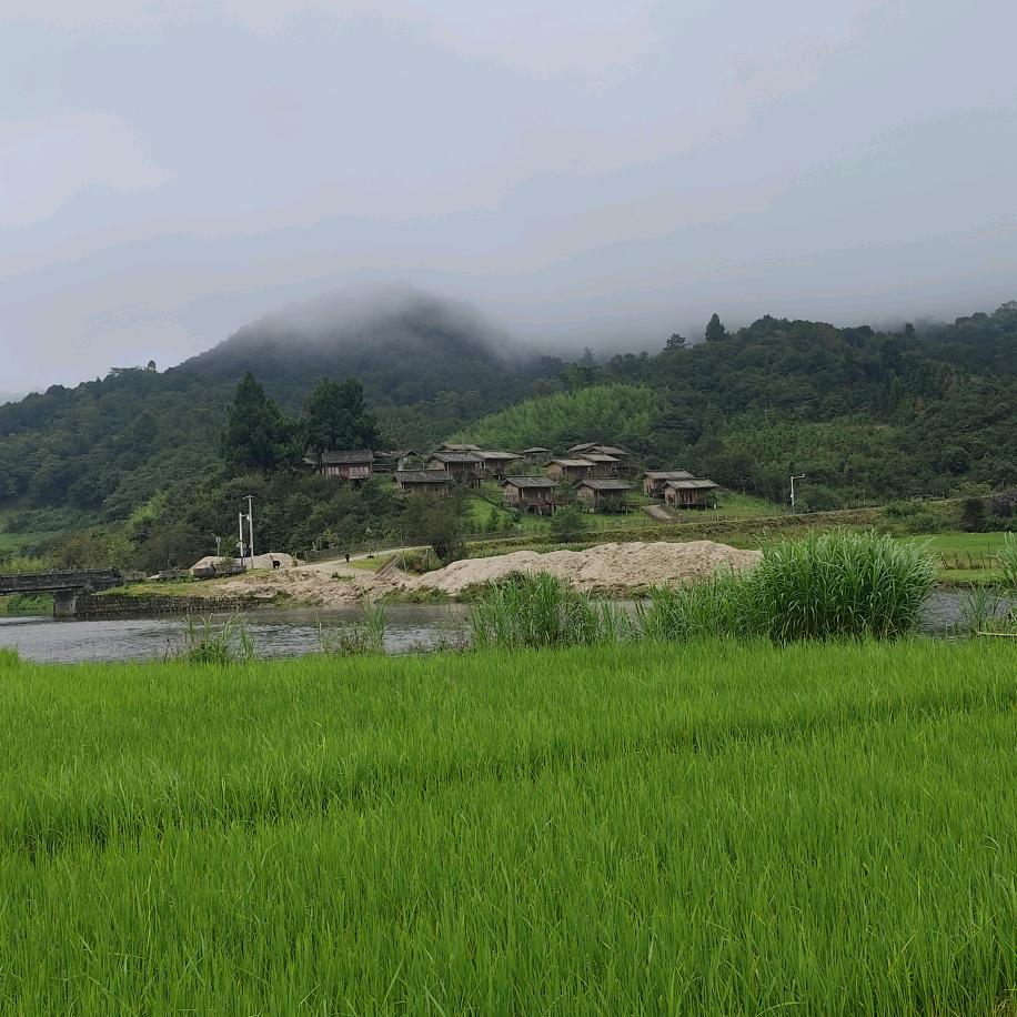 💰⁽⁽ଘ还记得你ଓ⁾⁾༄