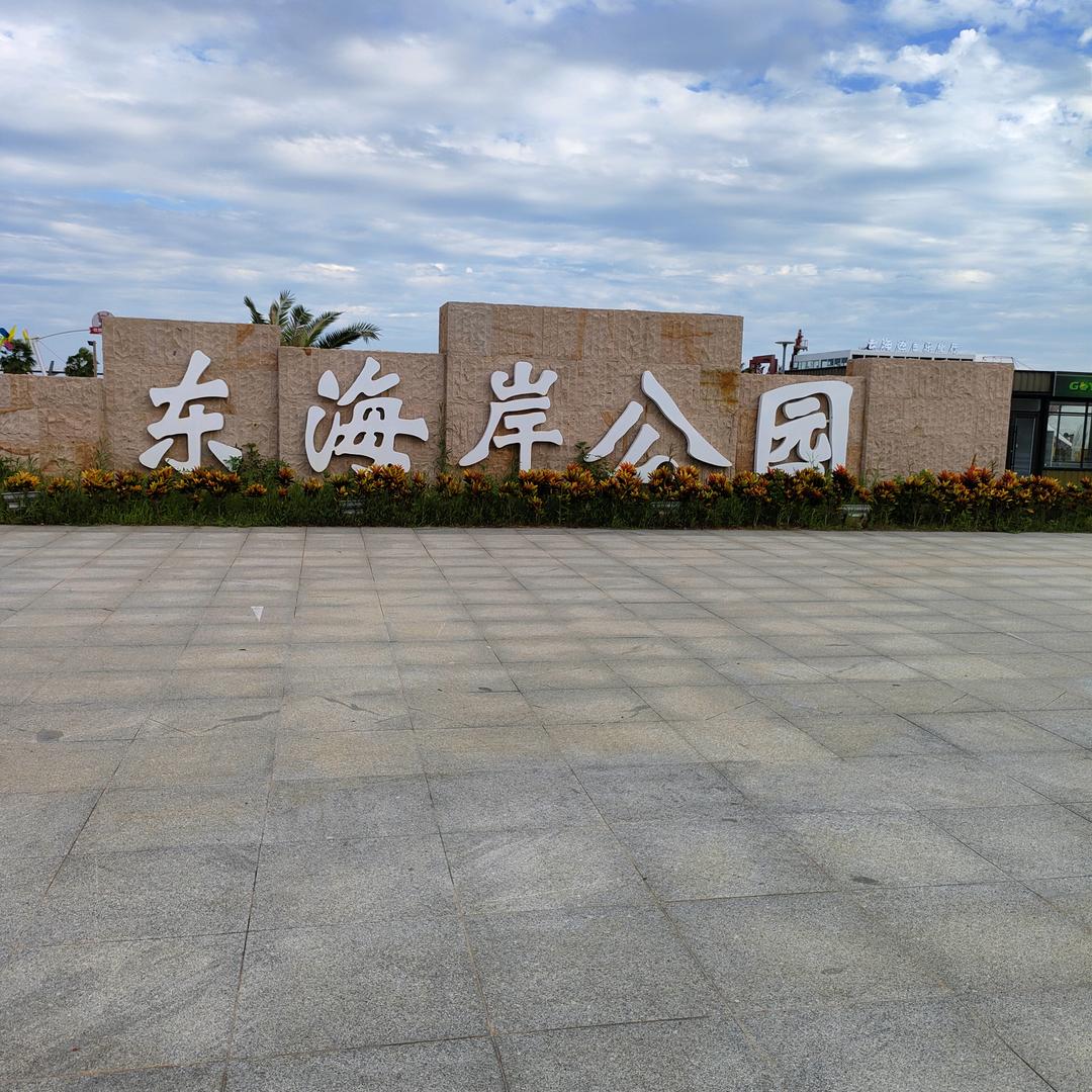 用户   新思
