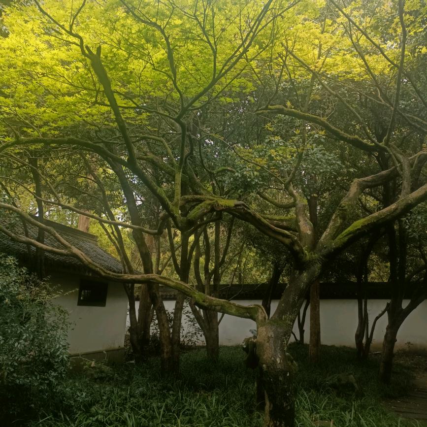 命中注定