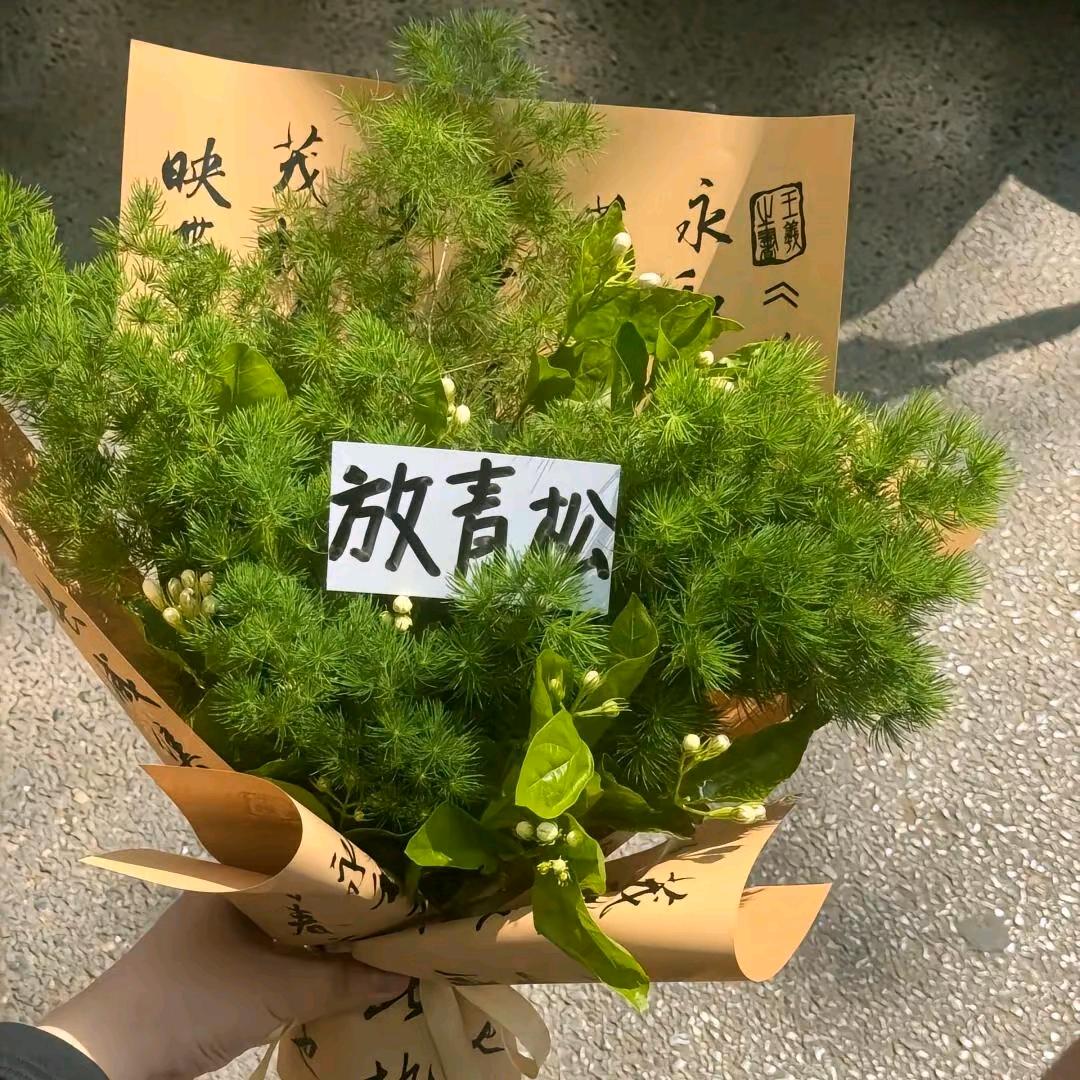 南栀啊