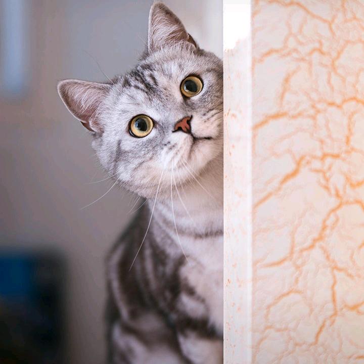 开心过好每一天