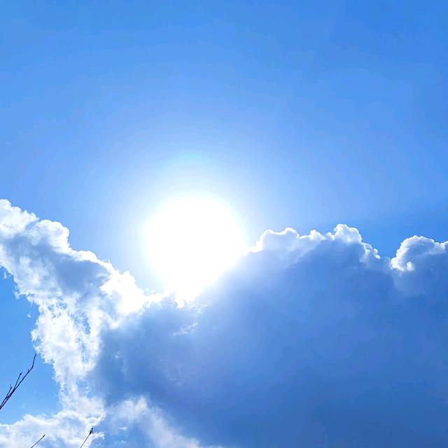 我在烟台种苹果