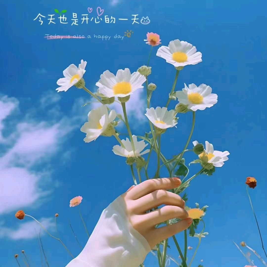 橙子