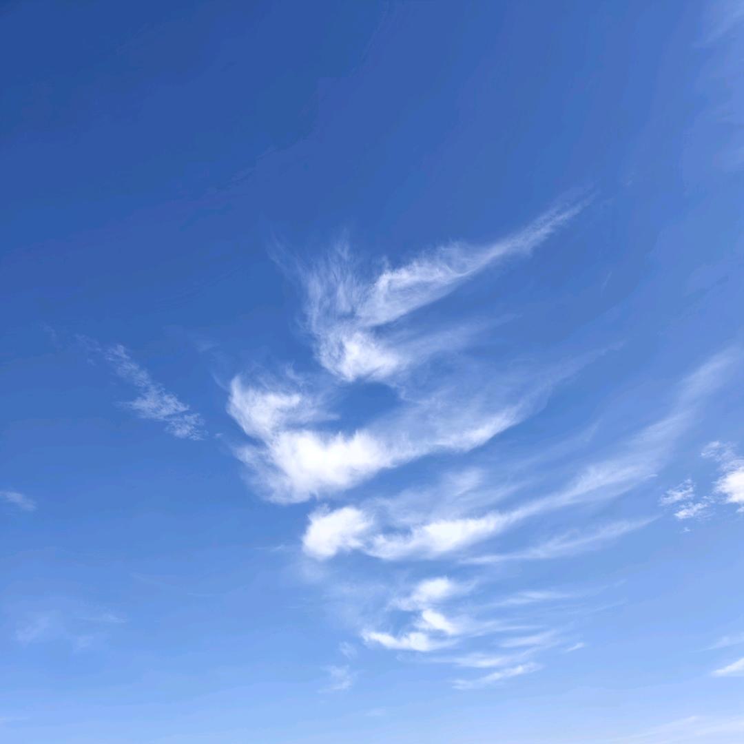 西红柿炒鸡蛋