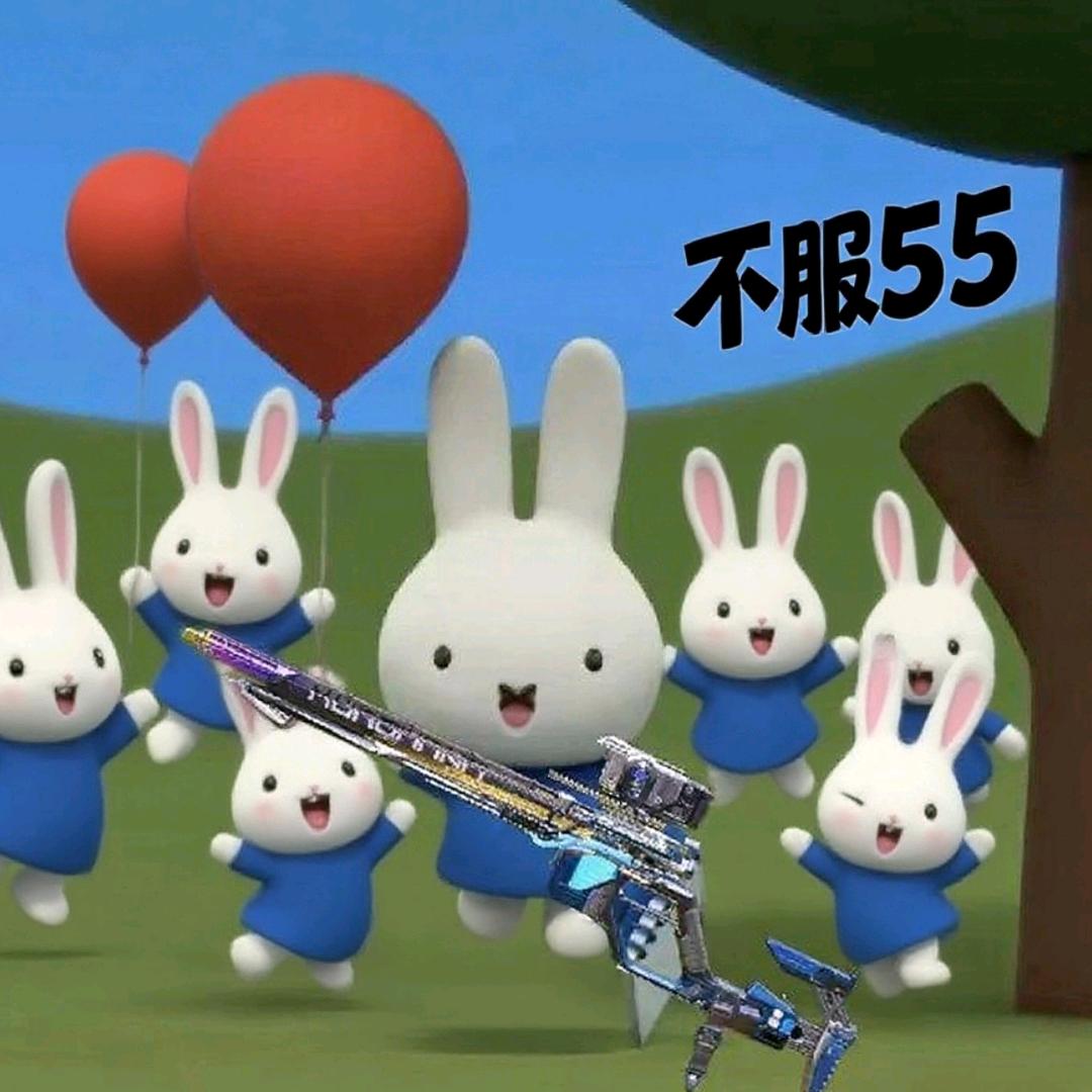 使命小兔（肝皮排位枪分）