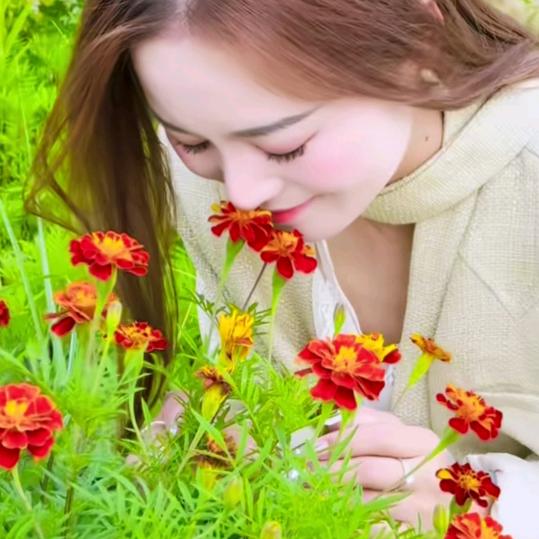 村花娟妹