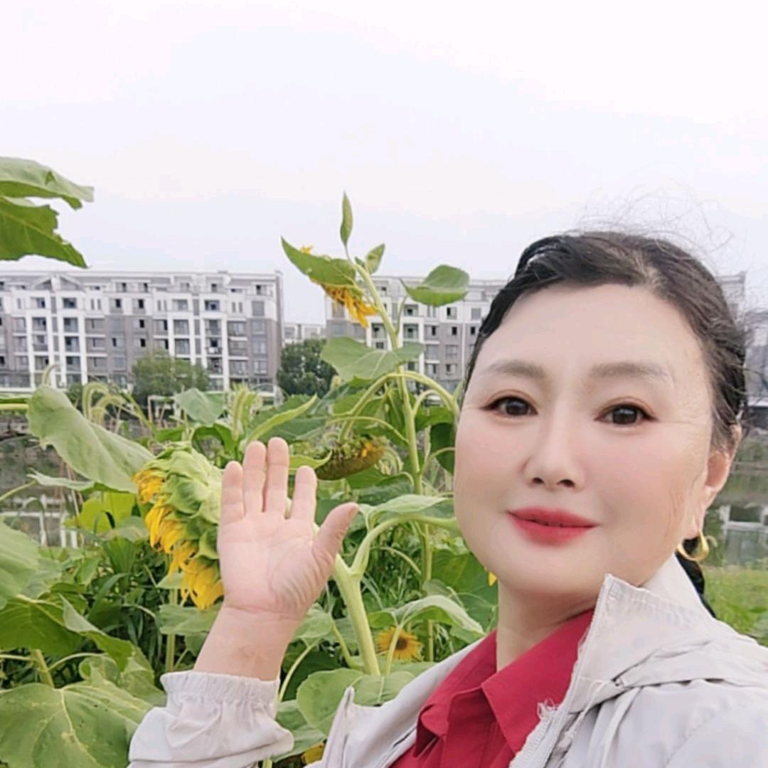 美丽的春天