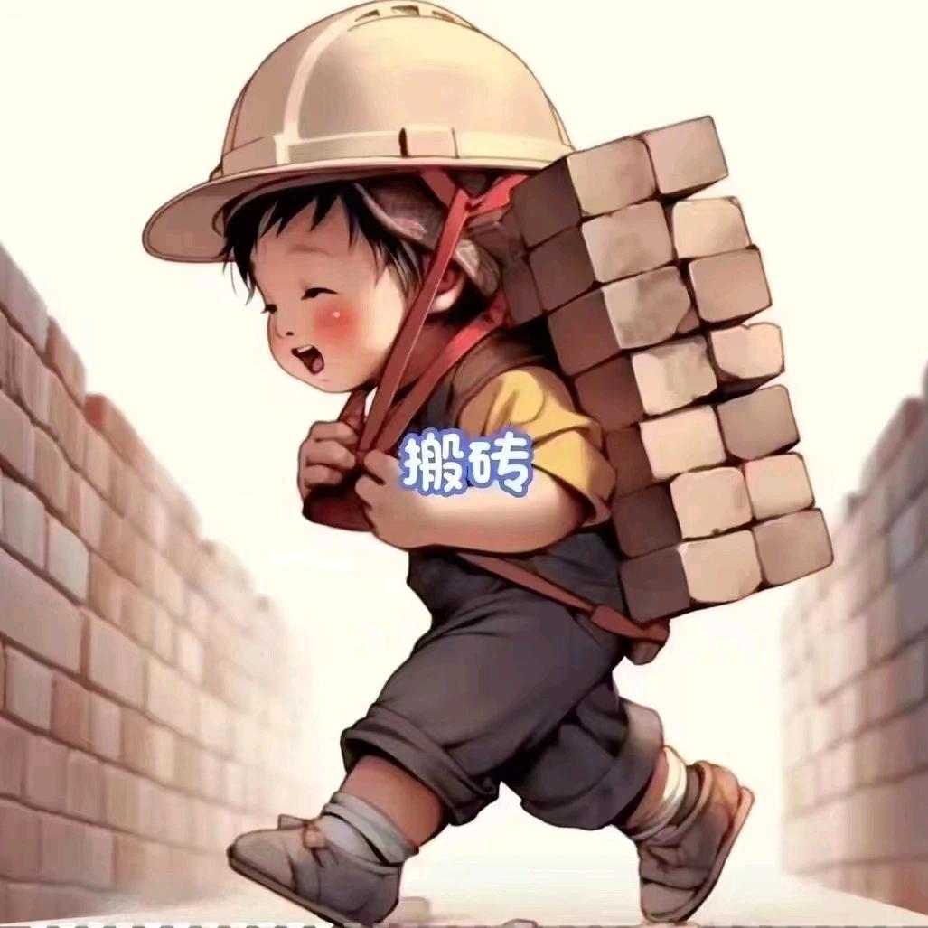 搬砖小子
