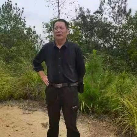 老维哥（大号）《一家人》