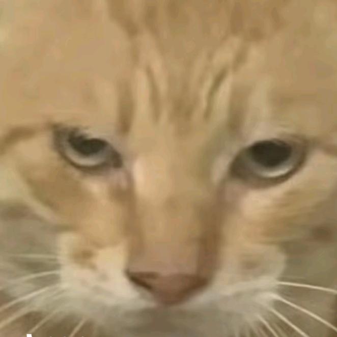 小风头像