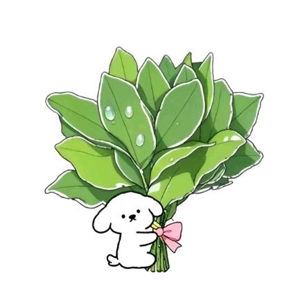 嘴馋可可轻食记