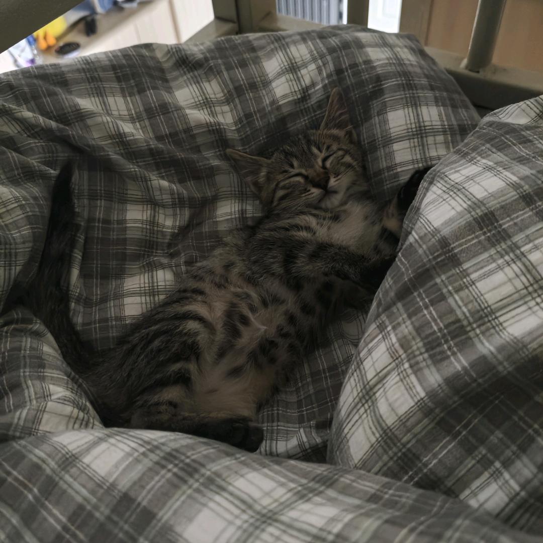 小二电竞（暗区突围pc）