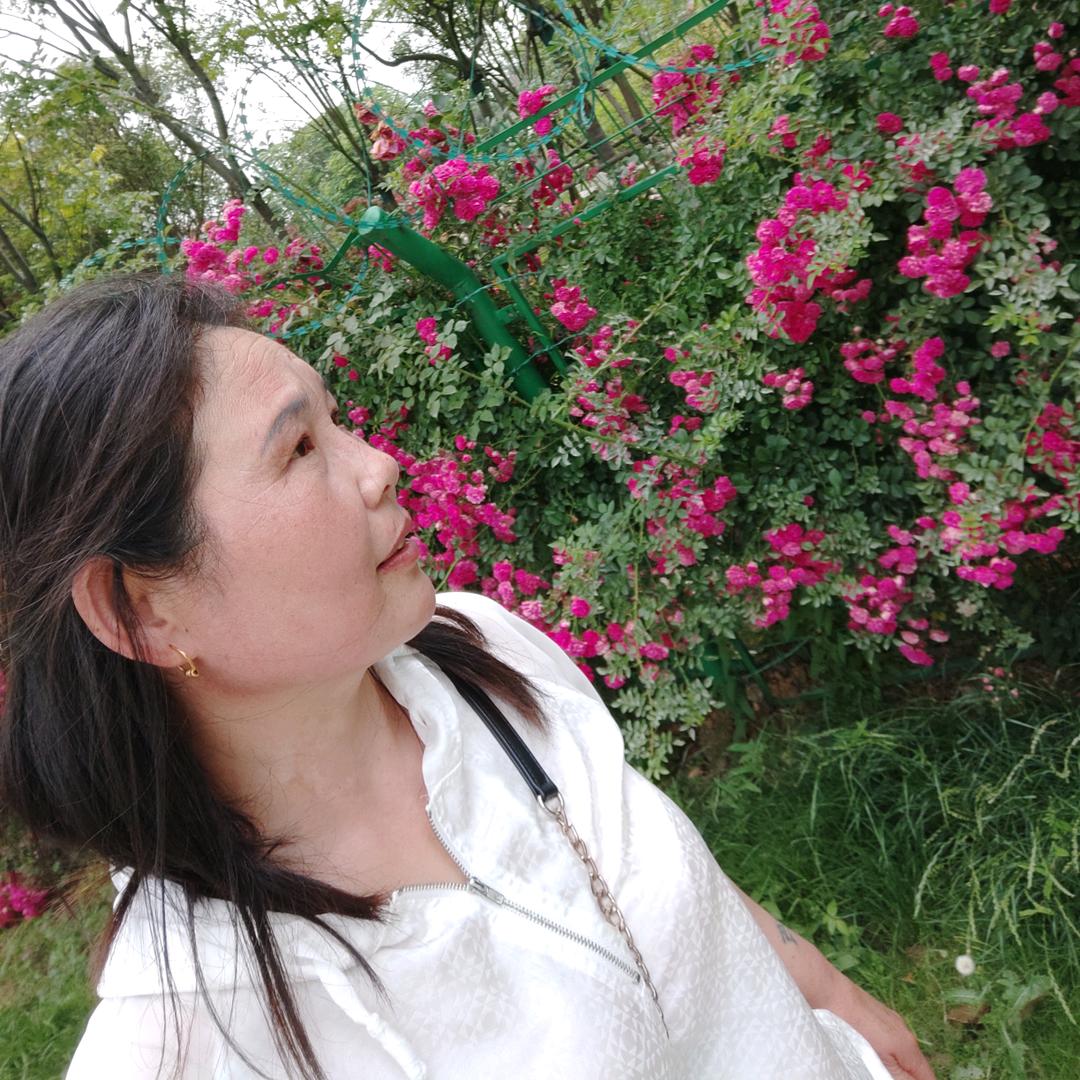 chang云淡风轻