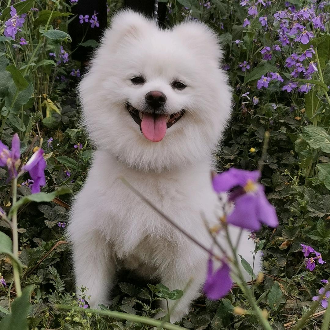 ˗ˋˏᰔᩚˎˊ˗