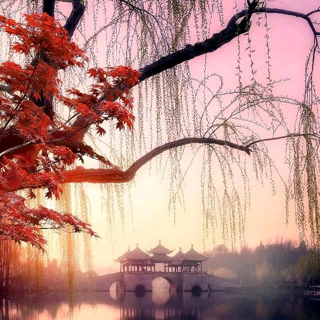 李家三丫头