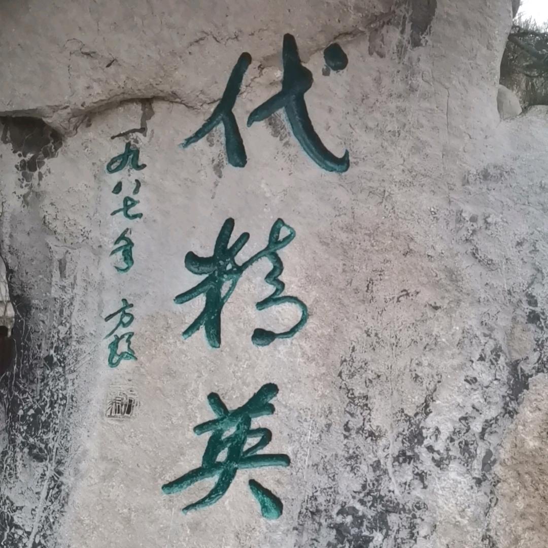 年年好运