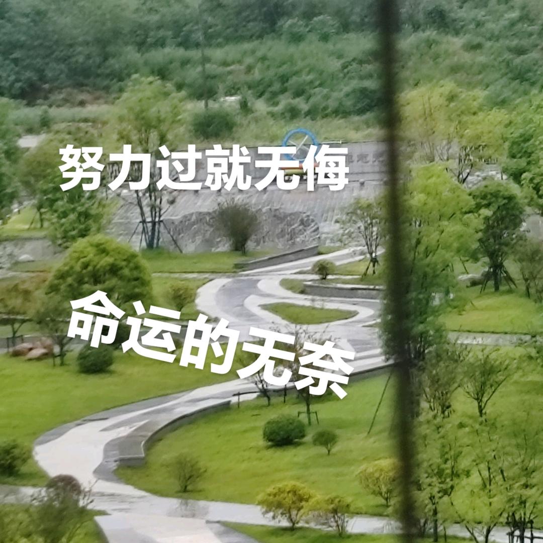 情深缘浅难白头