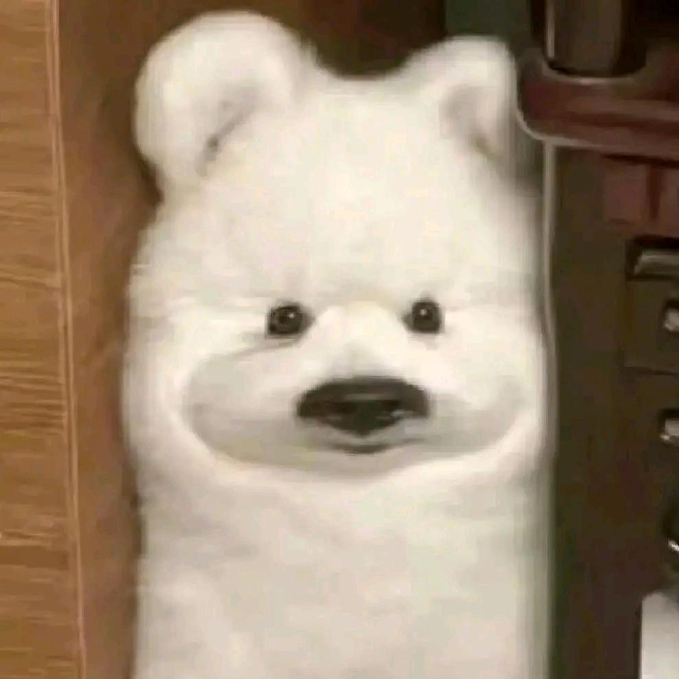 白日梦-