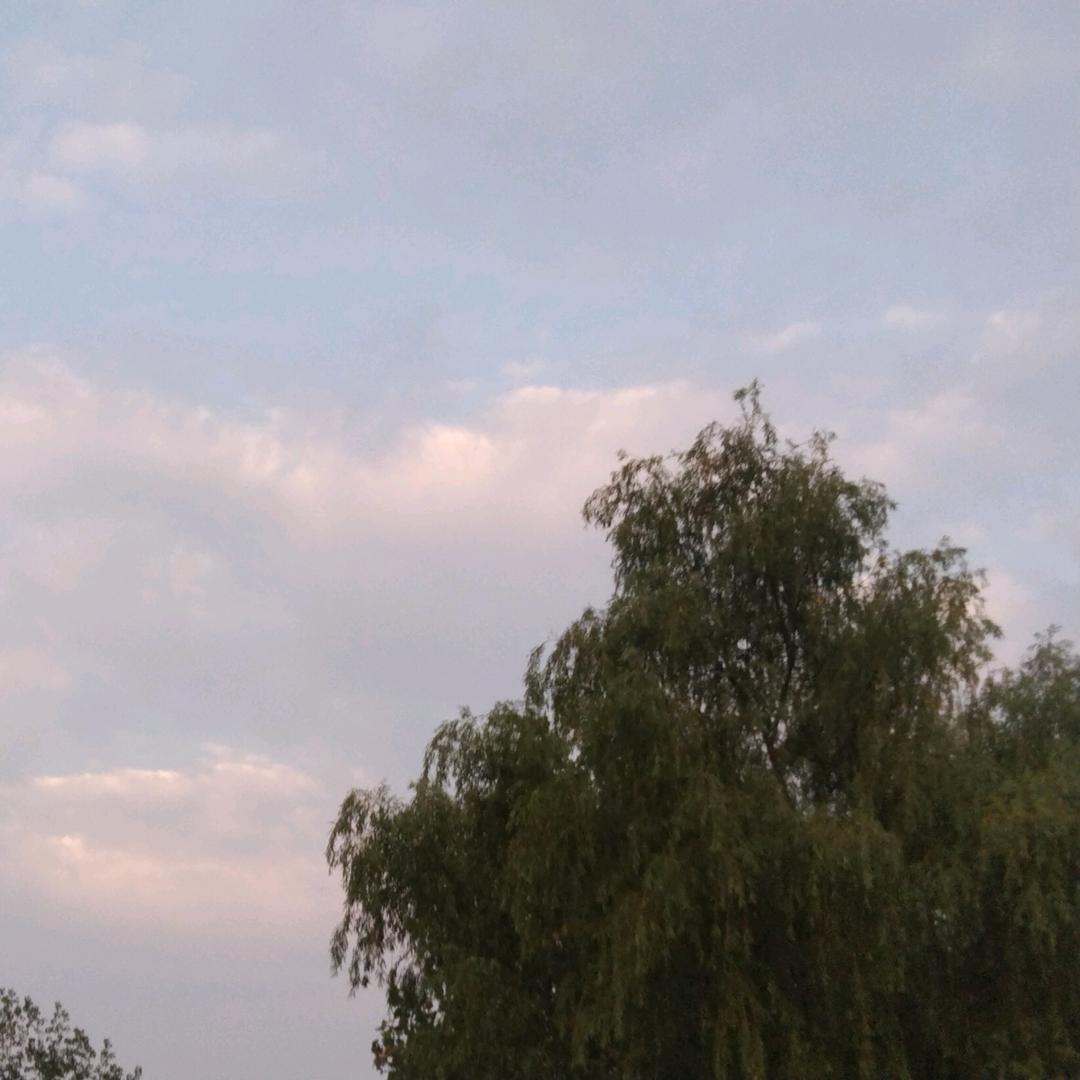 梅梅消消乐