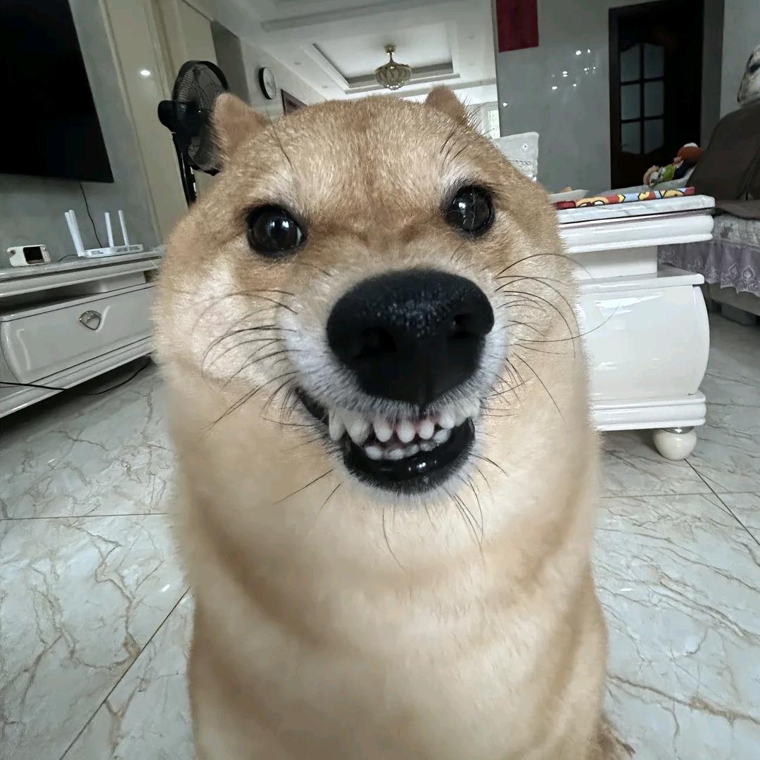 通知