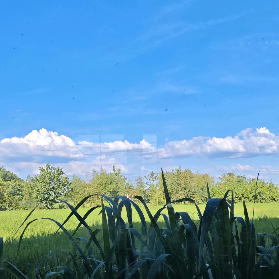 徐上洪面馆的yiyi