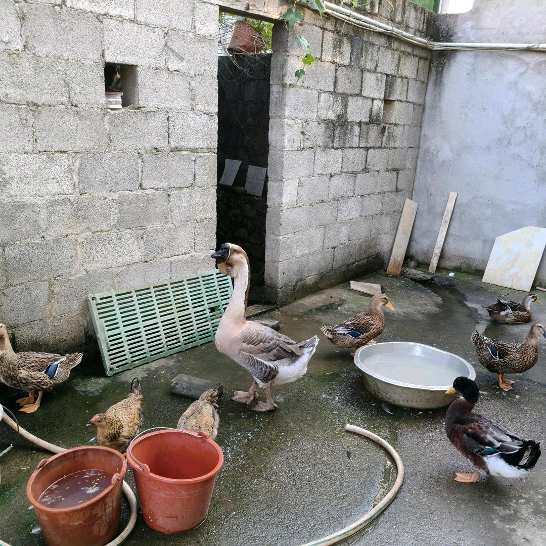 不是见恨晚we40403060808不