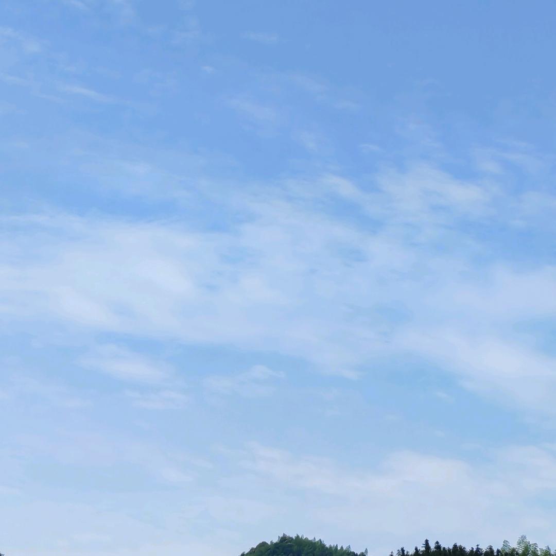 清楚