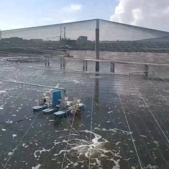 影碟出现