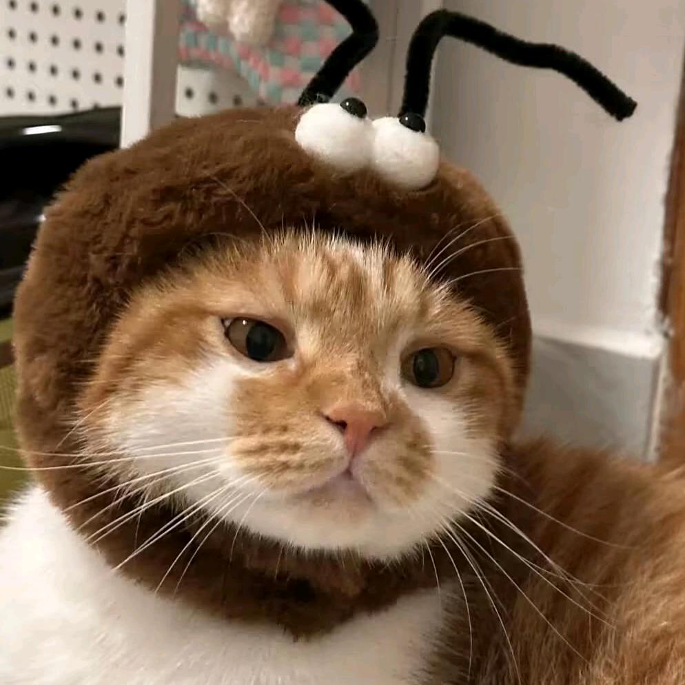 克斯维尔的明天