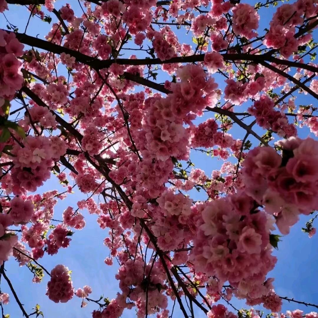 ໑ຼₒ₂⁵搞ღ᭄钱要꧔ꦿ᭄紧