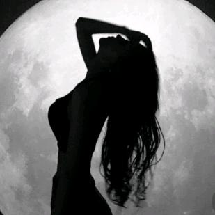 🌸刘家二小姐🌸[  连赞拉黑  ]