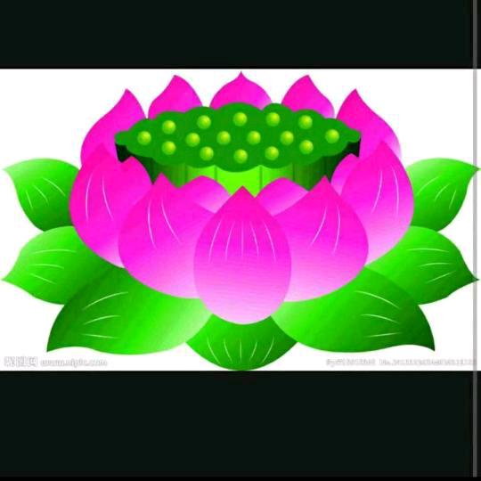 菩提哥