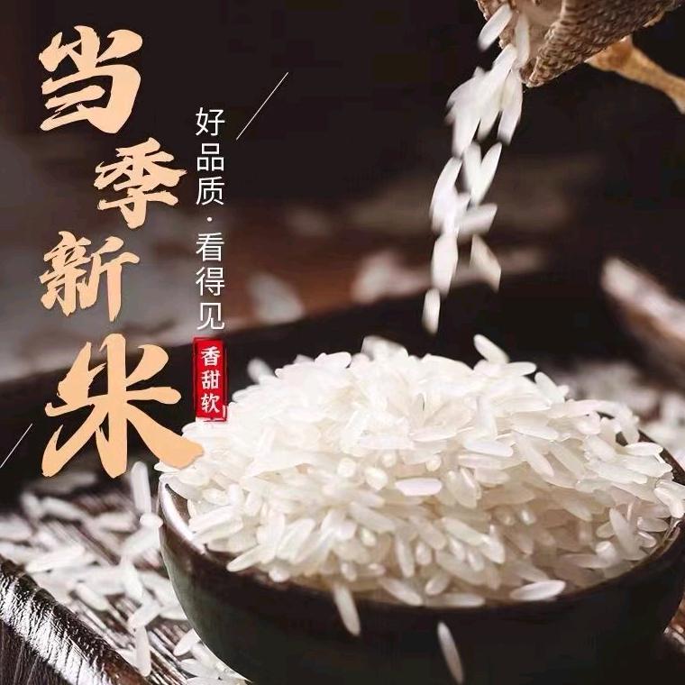 五常金粒米业