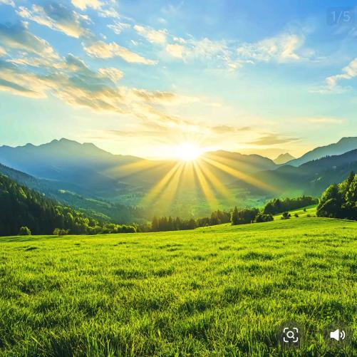 纳爱斯品质生活推荐官 （连云港店汪占平）