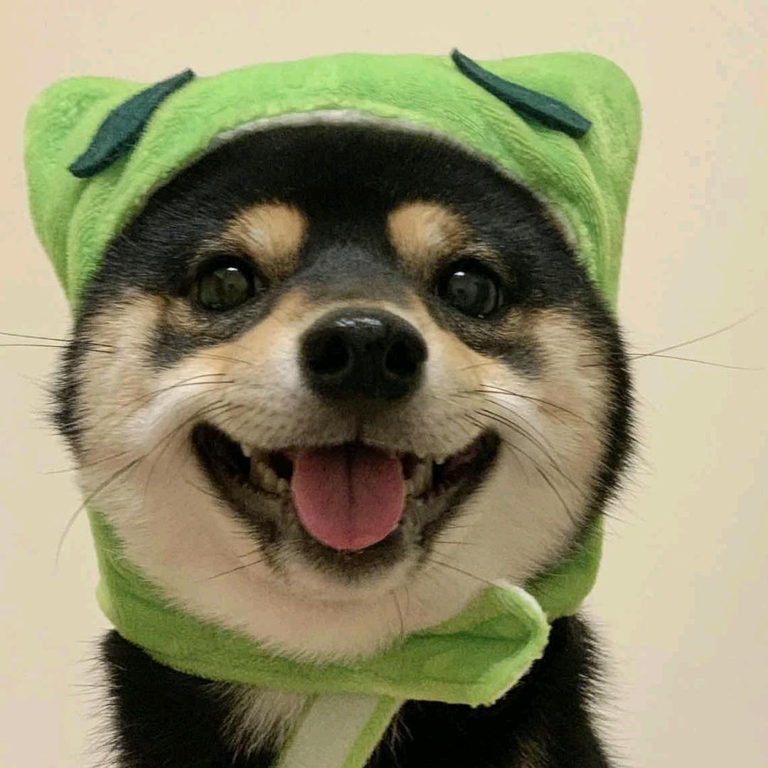 叽里呱啦说啥呢