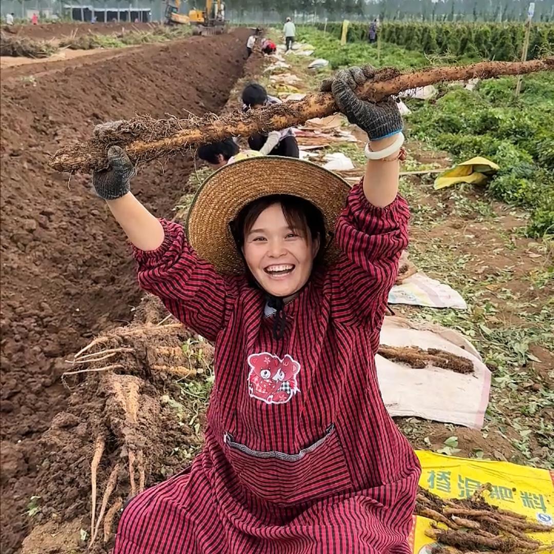 鲜峰农产品企业店