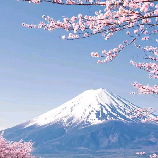 一个感叹号