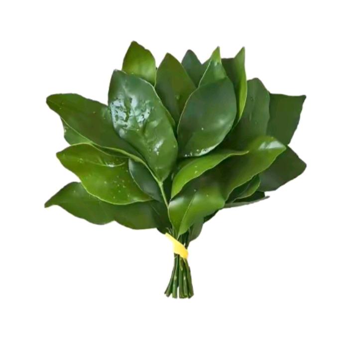 月下