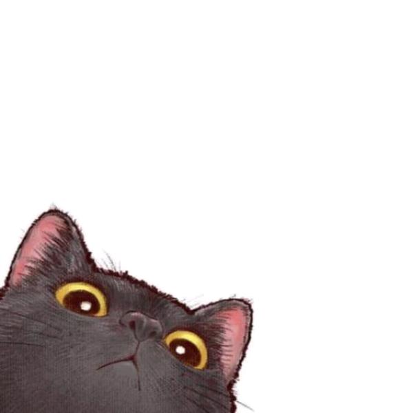 乖乖🌹㊗️黑瑰12.12小电人首秀成功