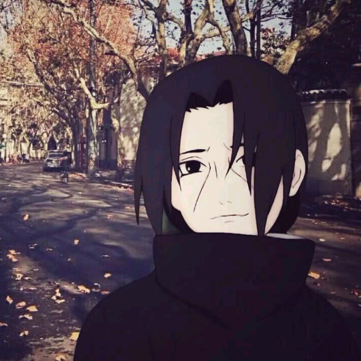 古月卷柏