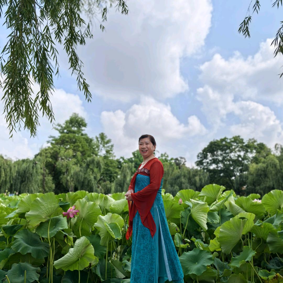 @朱奶奶🌻我是52年的龙