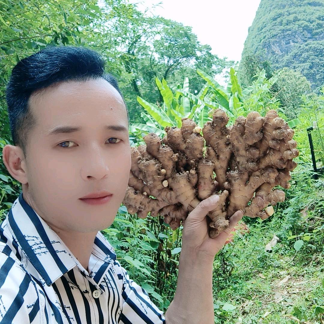 姜湖人生