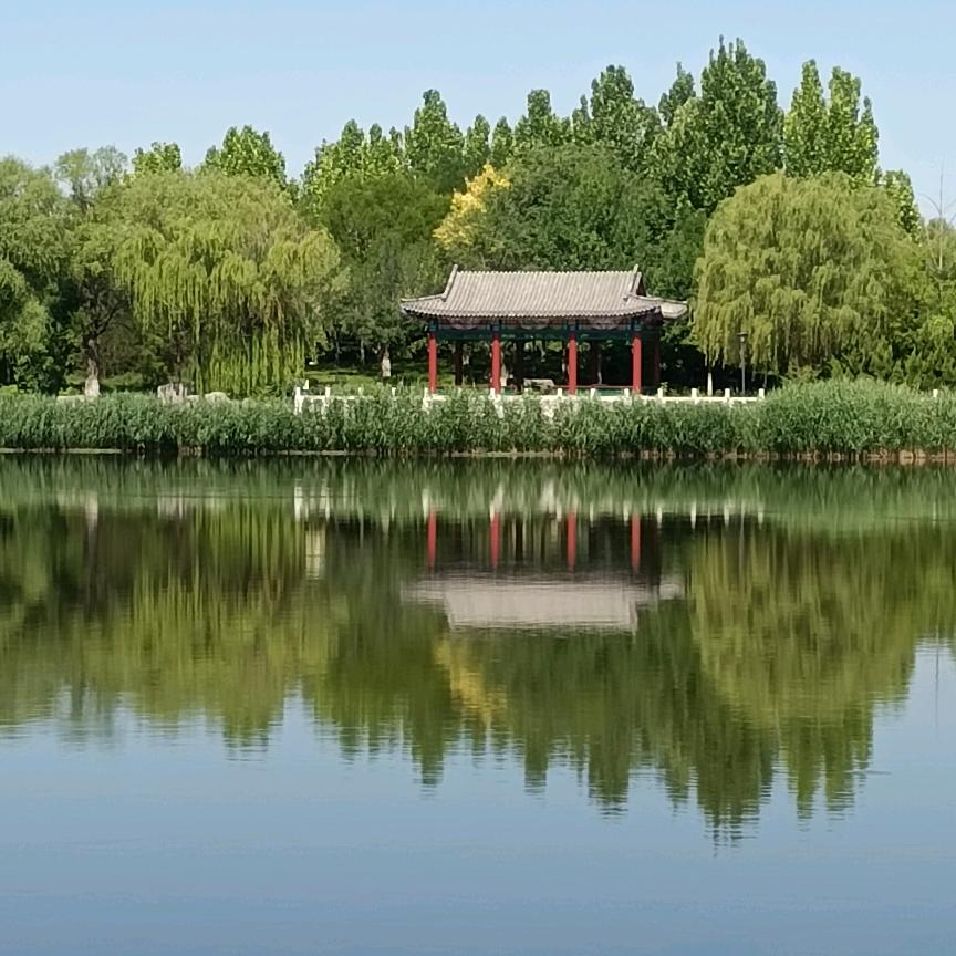 糖瓜