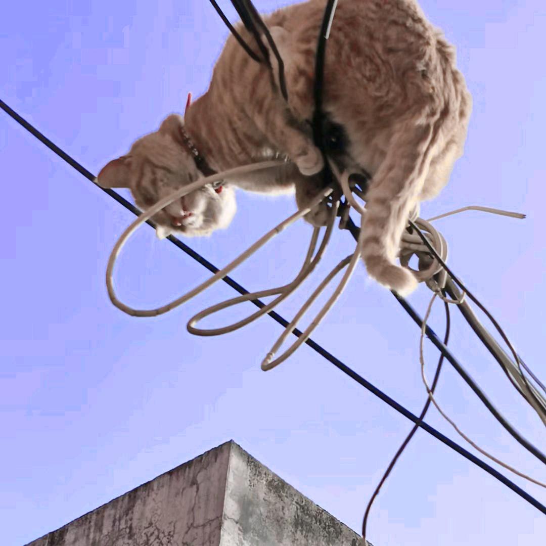 不跟蠢人计较