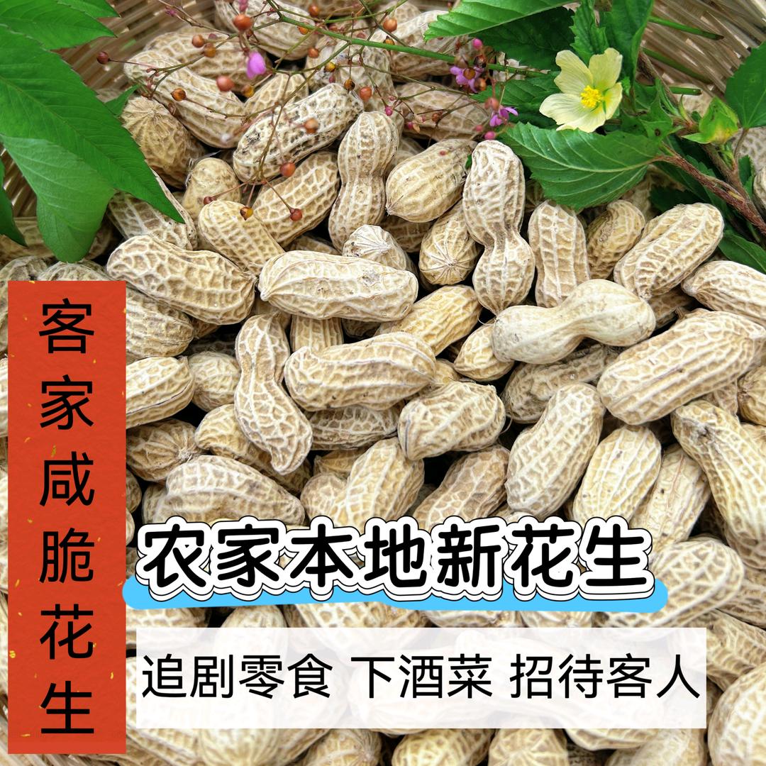 卖花生的瑶瑶