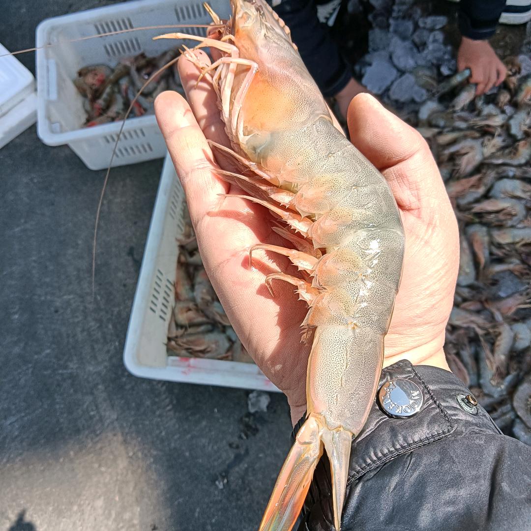 大连（二哥海鲜）