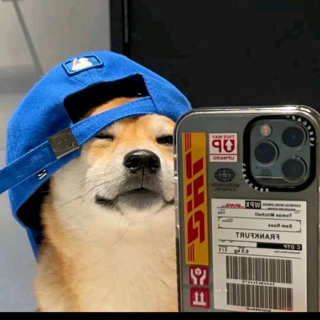 楠楠不想难
