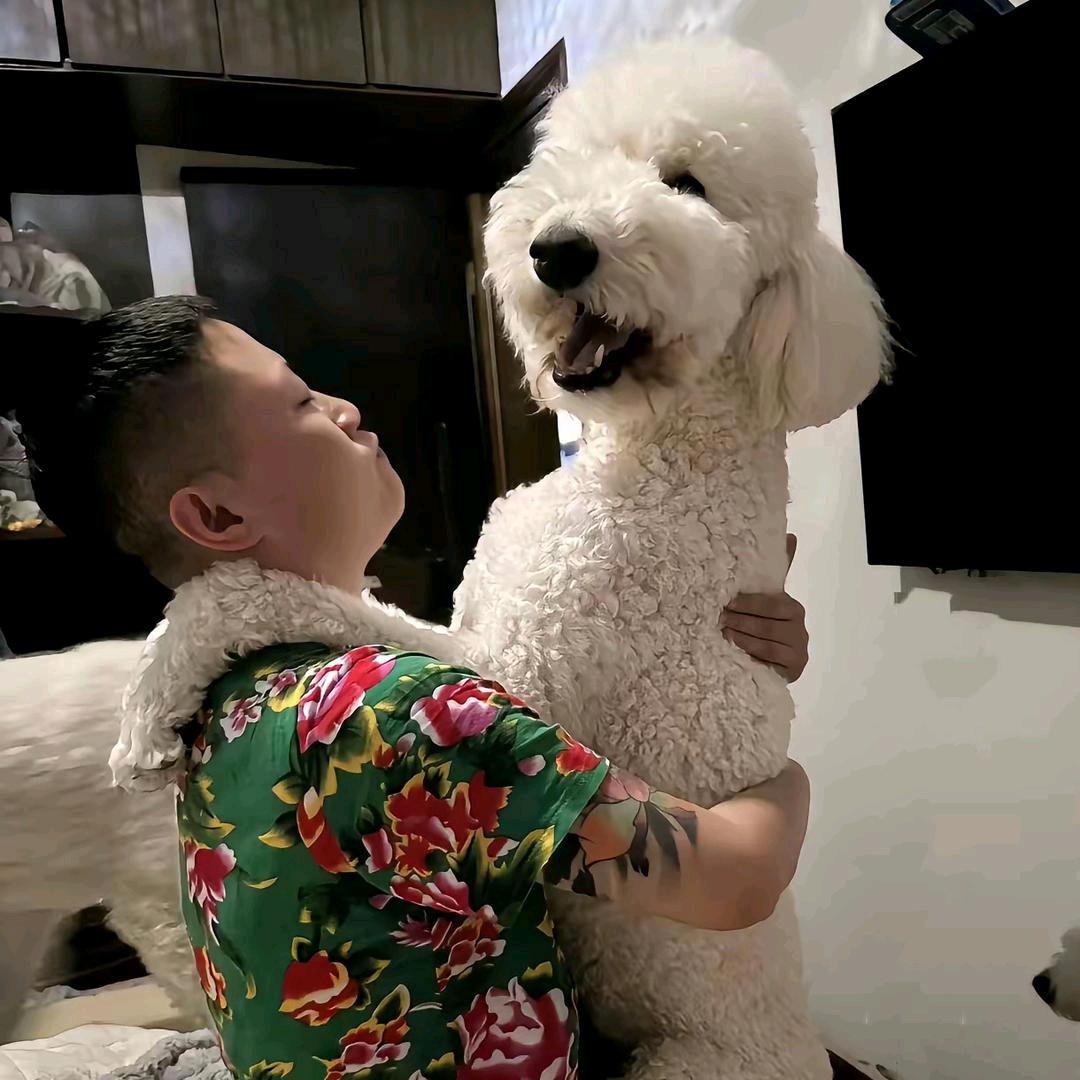 奶爸🐩