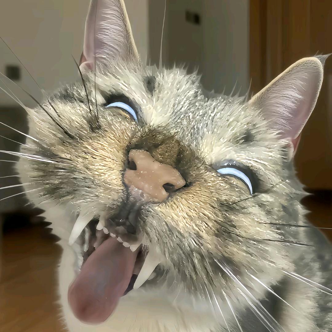 傍晚時看海.