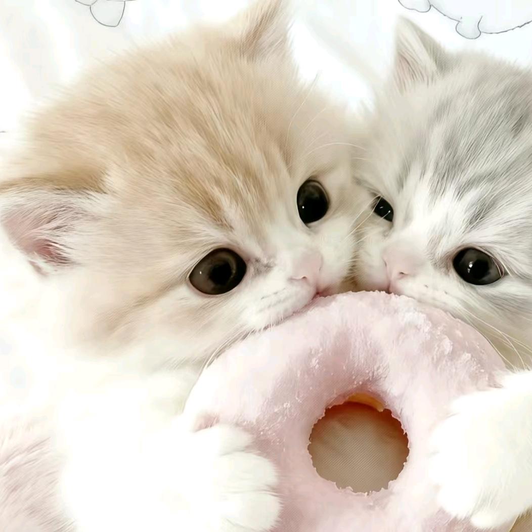 壹叁【王者荣耀】